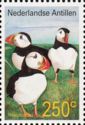 Atlantic Puffin (Fratercula arctica)